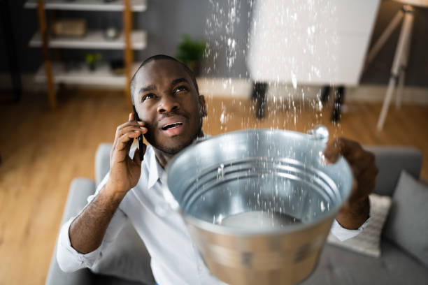Best Local water damage restoration  in Granville, OH
