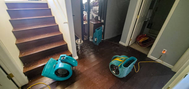 Best Water damage restoration process  in Granville, OH