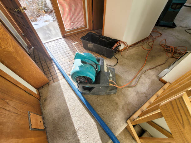 Best Sewage cleanup and water damage restoration  in Granville, OH