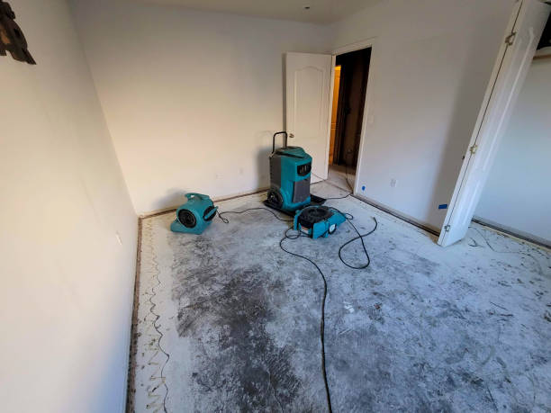 Best Mold removal after water damage  in Granville, OH