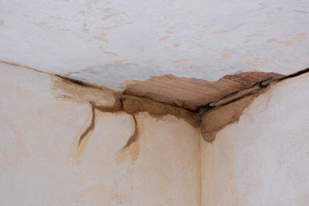 Best 24-hour water damage restoration  in Granville, OH